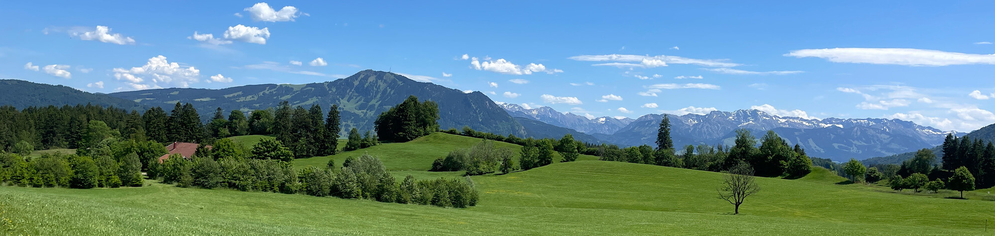 Grüne Alpenlandschaft mit blauem Himmel