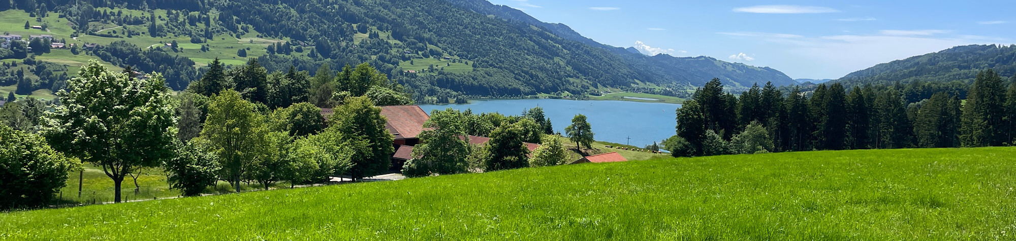 Grüne Alpenlandschaft mit See und Gehöft im Hintergrund