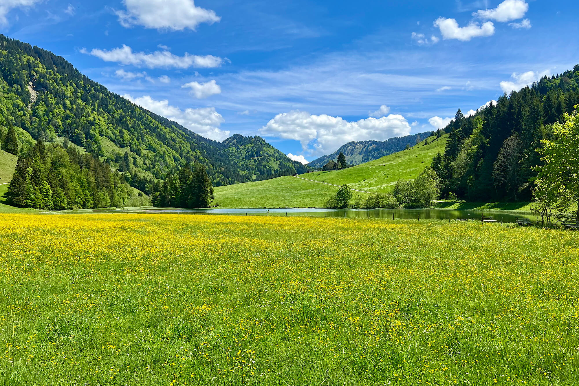 Vom Unentschiedenen zur sicheren Praxisübergabe