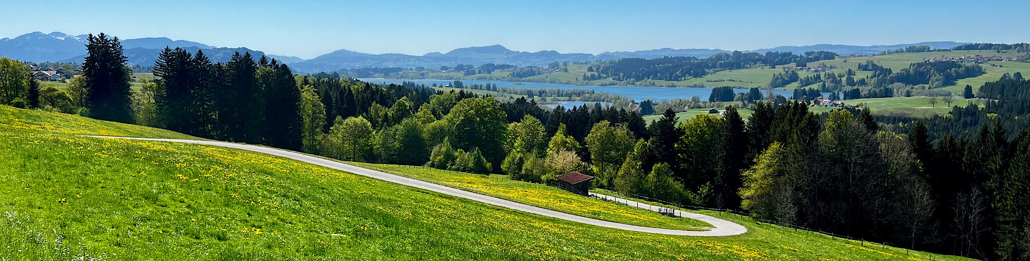 Kurviger Weg vor Bergpanorama